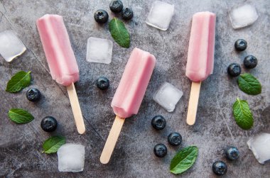 Taze organik yaban mersinli dondurma. Yaz tatlıları ve tatlılar. Vejetaryen yemeği.