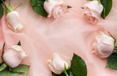 Pembe tül arka planda pembe güllerin üst görüntüsü. Sevgililer Günü konsepti, metin için alan