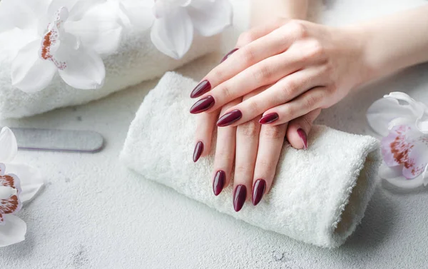 Piękne Dłonie Młodej Kobiety Ciemnoczerwonym Manicure Paznokciach Proces Manicure — Zdjęcie stockowe