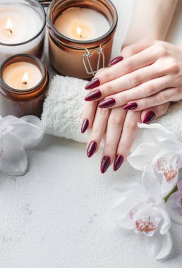 Tırnaklarında koyu kırmızı manikür olan genç bir kadının güzel elleri. Manikürcüde havlunun üzerindeki kadın elleri, mumlar ve beyaz orkideler.