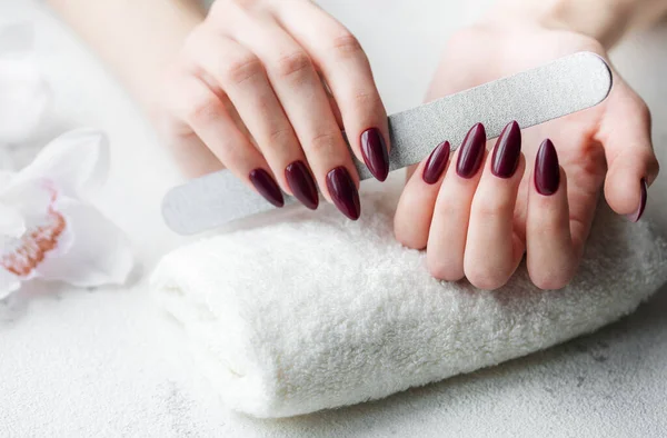 Piękne Dłonie Młodej Kobiety Ciemnoczerwonym Manicure Paznokciach Kobieta Ręce Ręczniku — Zdjęcie stockowe