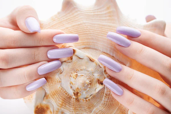 Trendy female manicure. Woman\'s hands with  violet manicure on white background with shells.