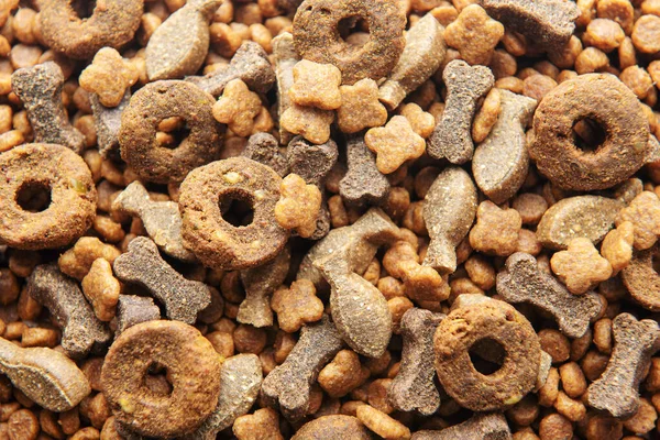 Dry food for dogs of different shapes as a food background. Healthy food for dogs