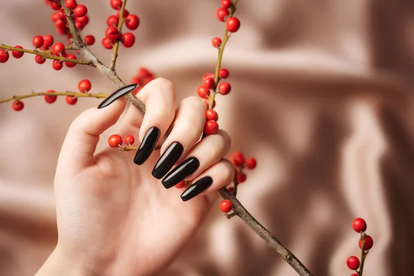 The hands of a young girl with black manicure on her nails hold a decorative branch with red berries on a background of beige silk