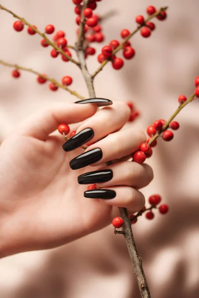 The hands of a young girl with black manicure on her nails hold a decorative branch with red berries on a background of beige silk