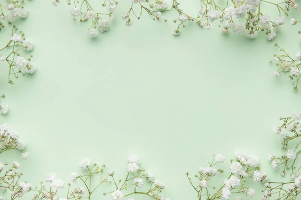 ดอกไม ปโซส ขาว อดอกไม ลมหายใจของทารกบนพ นหล ดลอกช องว — ภาพถ่ายสต็อก