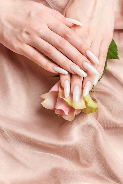 Stílusos Trendi Női Manikűr Gyönyörű Fiatal Kezét Fehér Manikűr Rózsák — Stock Fotó