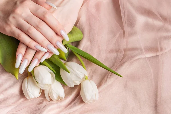 Female hand with spring nail design. White nail polish manicure. Female model hand with perfect manicure hold white tulip flowers on beige silk background