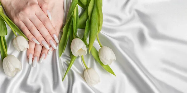 Female hand with spring nail design. White nail polish manicure. Female model hand with perfect manicure hold white tulip flowers on white silk background