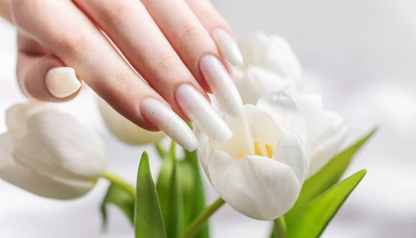 Female hand with spring nail design. White nail polish manicure. Female model hand with perfect manicure hold white tulip flowers on white silk background