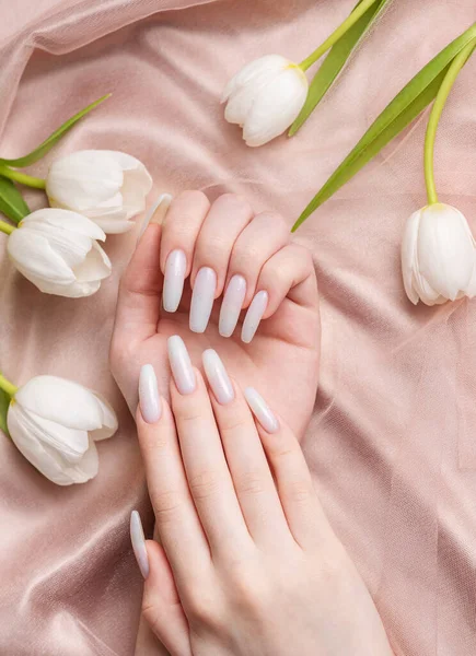 Female hand with spring nail design. White nail polish manicure. Female model hand with perfect manicure hold white tulip flowers on beige silk background