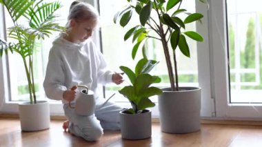 Küçük kız su bidonunu tutuyor ve ev bitkisini suluyor. Çiçekleri sulayan küçük bir kız.