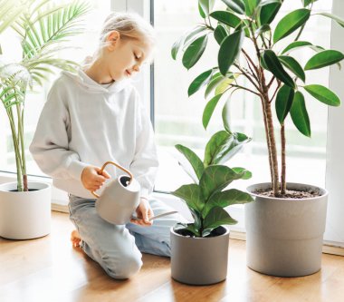 sulama ve karanfiller için bakan küçük kız