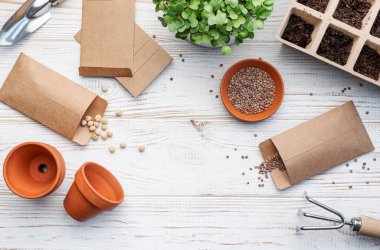 Bahçıvanlık konsepti, evde ekme. Tohum ekmek için bahçe aletleri ve malzemeler.