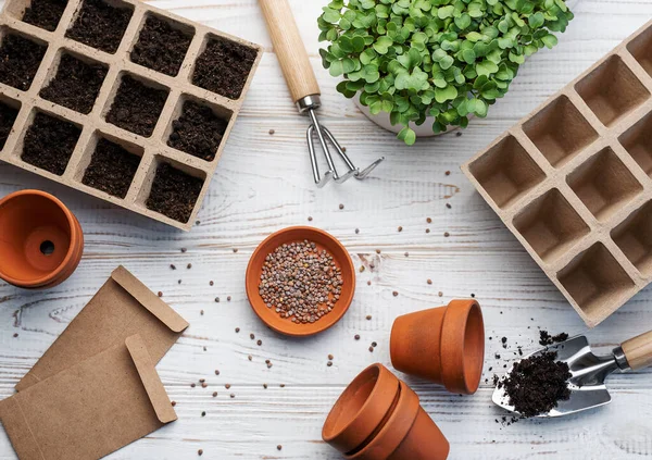 stock image Gardening concept, planting at home.  Set of gardening tools and supplies for sowing seeds