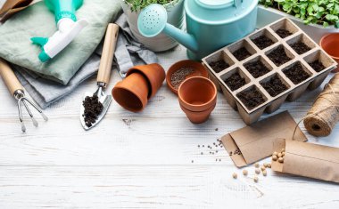 Bahçıvanlık konsepti, evde ekme. Tohum ekmek için bahçe aletleri ve malzemeler.