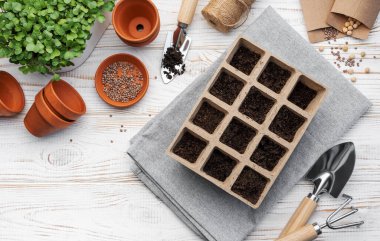 Bahçıvanlık konsepti, evde ekme. Tohum ekmek için bahçe aletleri ve malzemeler.