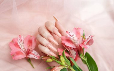 Zarif pastel pembe doğal manikür. Pembe ipek arka planda çiçekli kadın elleri..