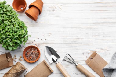 Bahçıvanlık konsepti, evde ekme. Tohum ekmek için bahçe aletleri ve malzemeler.