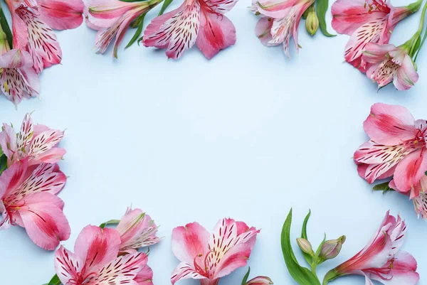 กรอบส าหร อความแสดงความย บดอกไม ของ Alstroemeria บนพ นหล การ ดอวยพรด — ภาพถ่ายสต็อก