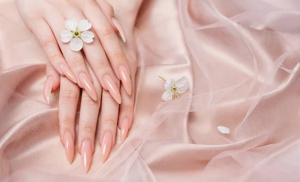 Elegáns Pasztell Rózsaszín Természetes Manikűr Női Kéz Cseresznyevirág Virágok Rózsaszín — Stock Fotó