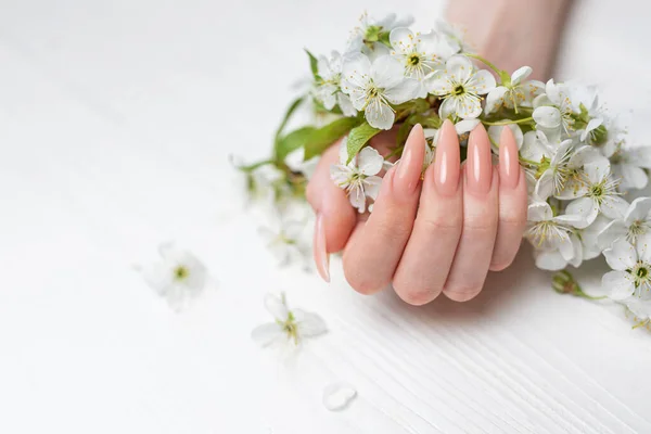 Elegant Pastellrosa Naturlig Manikyr Kvinnliga Händer Med Körsbärsblomma Blommor Vit — Stockfoto