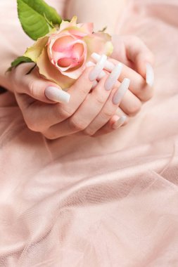 Şık moda kadın manikürü. Beyaz manikürlü güzel genç kadın elleri ve ipek pembe arka planda güller..