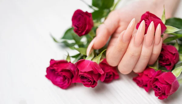 Elegante Pastelroze Natuurlijke Manicure Vrouwelijke Handen Met Rozen Bloemen Witte — Stockfoto
