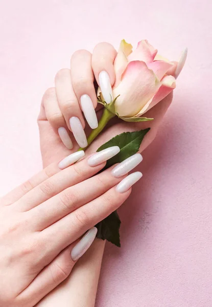 时尚时尚的女性修指甲 漂亮的年轻女子的手 白色的指甲 粉红的混凝土背景上的玫瑰 — 图库照片
