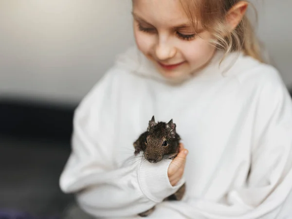 小女孩和可爱的幼稚园松鼠一起玩 可爱的宠物坐在小孩的手上 — 图库照片