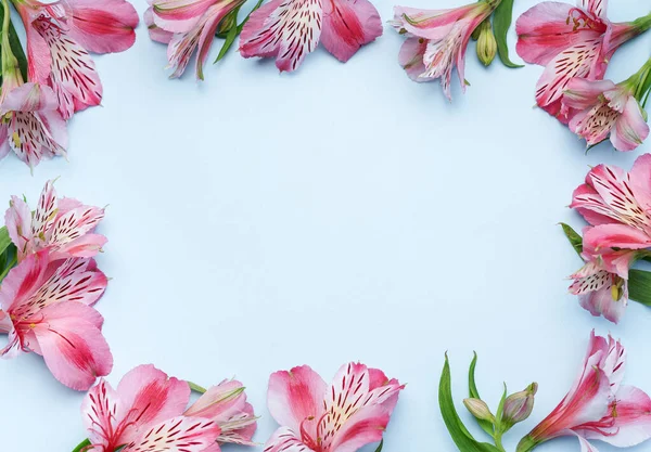 กรอบส าหร อความแสดงความย บดอกไม ของ Alstroemeria บนพ นหล การ ดอวยพรด — ภาพถ่ายสต็อก