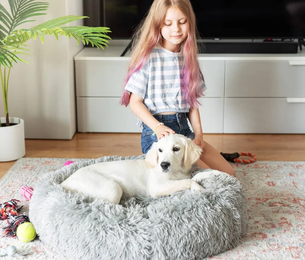 家で黄金のレトリバー子犬と遊んでいる小さな女の子 家の友達 — ストック写真