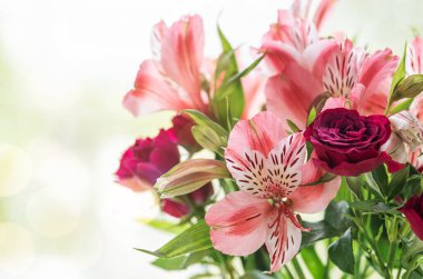 Bir buket alstromerya çiçeği. Alstroemeria çiçek arka planı. Çiçekler Alstroemeria.