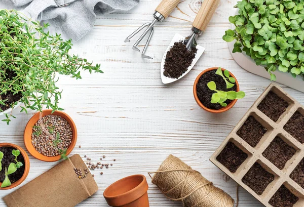 庭のコンセプト 自宅で植え付け 種を蒔くための園芸用具及び用品のセット — ストック写真