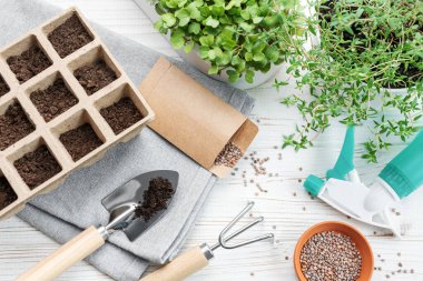 Bahçıvanlık konsepti, evde ekme. Tohum ekmek için bahçe aletleri ve malzemeler.