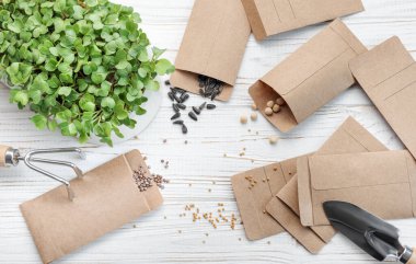 Bahçıvanlık konsepti, evde ekme. Tohum ekmek için bahçe aletleri ve malzemeler.