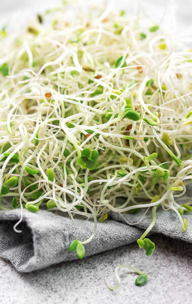 Microgreens grown in a jar.  Healthy Eating