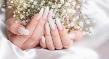 Güzellik tedavisi, manikürlü kadın tırnakları. Güzel beyaz ojeli ve çingene çiçekli kadın tırnağı sanatı.