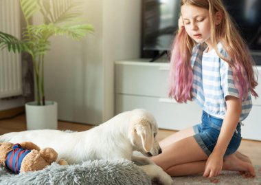 Evde Golden Retriever köpeğiyle oynayan küçük bir kız. Evdeki arkadaşlar.