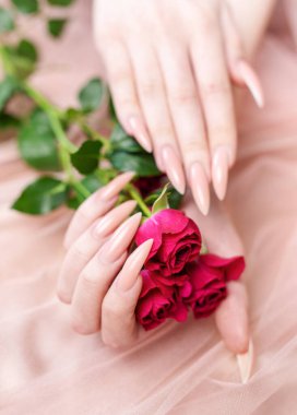 Zarif pastel pembe doğal manikür. Pembe ipek arka planda gülleri olan kadın elleri.