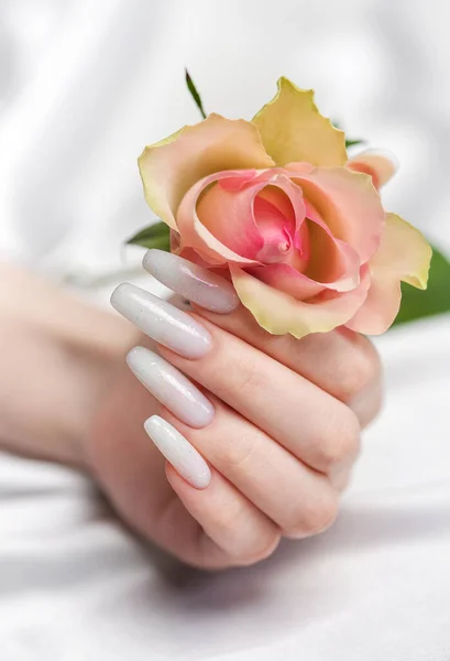 Stylish trendy female manicure. Beautiful young woman\'s hands with white manicure and roses on silk white background.