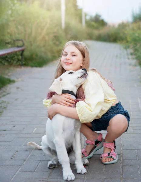 Valp Labrador Retriever Liten Jente Liten Jente Leker Med Gyllen – stockfoto