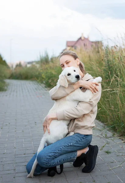 Valp Labrador Retriever Ung Jente Unge Jente Leker Med Gyllen – stockfoto