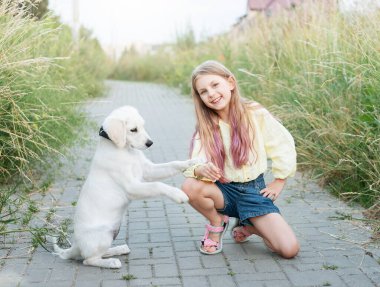 Köpek yavrusu Labrador Retriever ve küçük kız. Küçük kız Golden Retreeve ile oynuyor