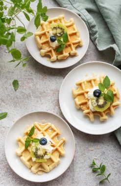 Beton gri arka planda kivi meyveleri ve yabanmersinli taze pişmiş waffle. Ev yapımı pişirme..