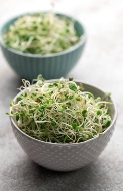 Kavanozda büyüyen mikro yeşiller. Sağlıklı Yeme