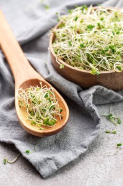 Kavanozda büyüyen mikro yeşiller. Sağlıklı Yeme