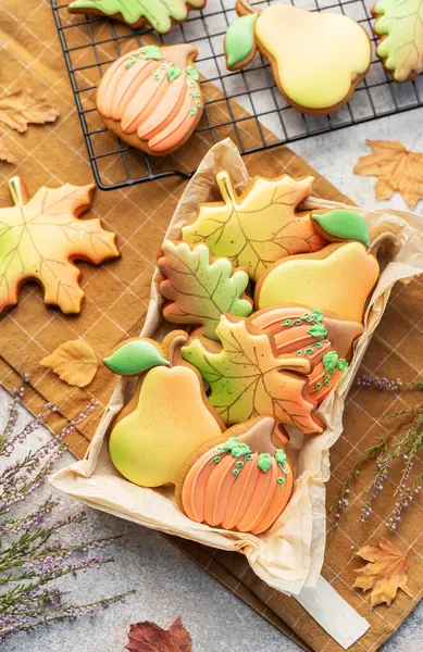 五彩缤纷的秋天自制饼干 装在混凝土背景礼品盒里 免版税图库图片