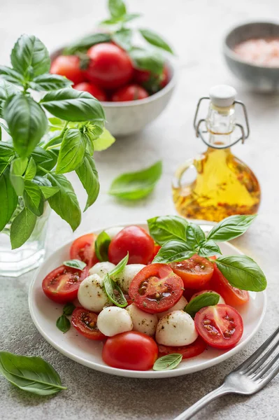 Domatesli Caprese salatası, mozzarella ve fesleğen. Sağlıklı yemek..