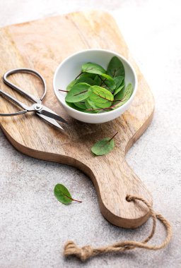 Gri beton arka planda taze kuş üzümleri. Sağlıklı beslenme. Mikro yeşillik yetiştirme.